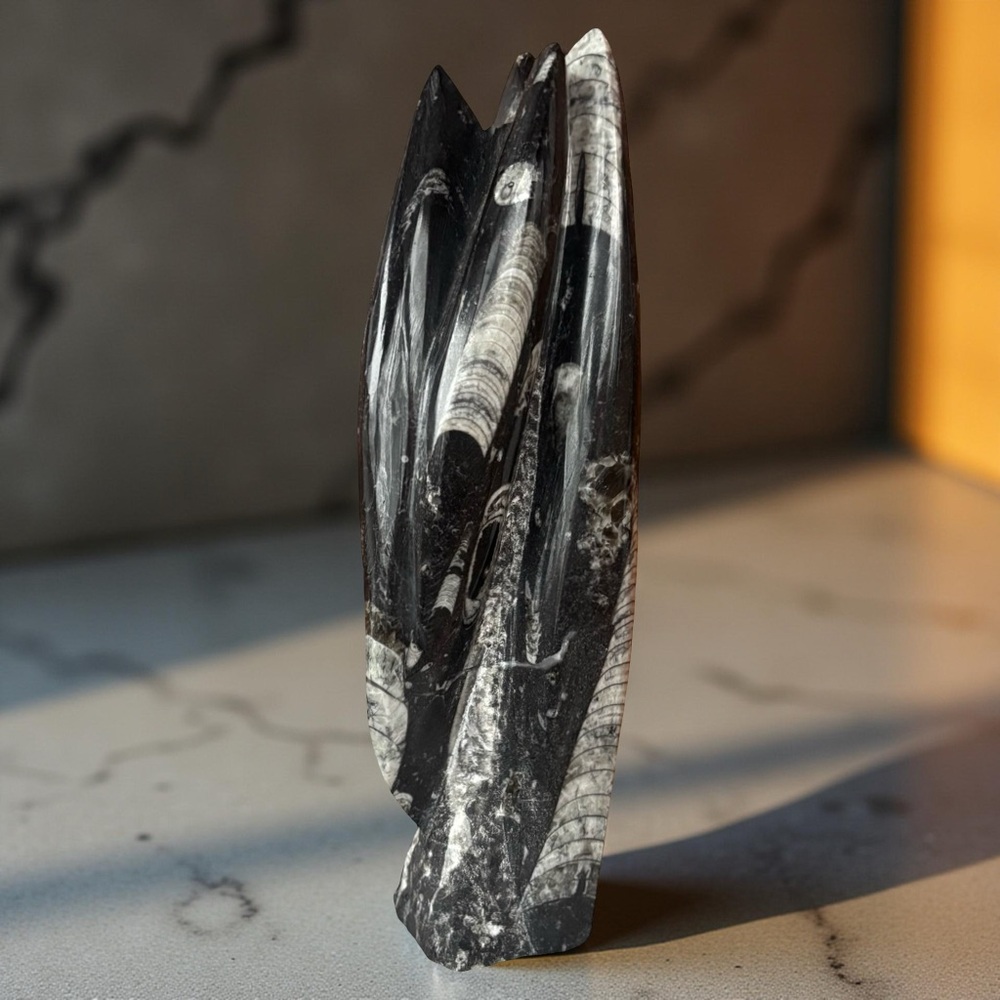 Large Multiple Orthoceras Fossil Tower Heavy Decor Statement Art Piece